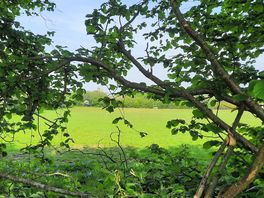 View from the site.