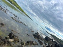 The bay