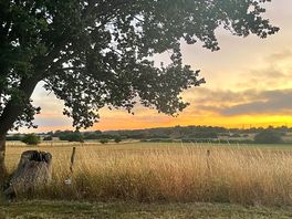 Views over playing field