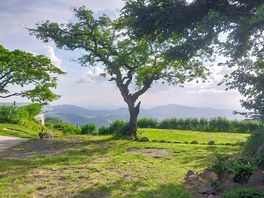 Views over mountains