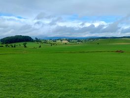 Views on our walk
