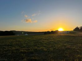 Lovely view
