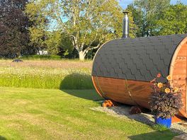 The sauna and wild flower meadow