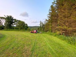 A lovely spot for the night