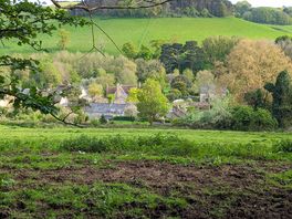 Local views
