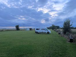 The paddocks