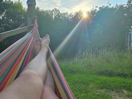 The 3 hammocks were a bonus, i now need one for my garden!