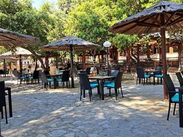 Beach bar