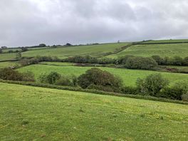 Summer time over the campsite