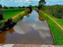 Canal wall
