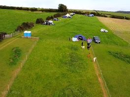 Top field