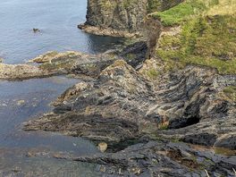 Coastal path