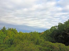 View from sherringham park