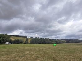 Grass field