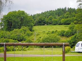 Cow on a hill.