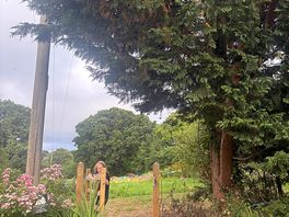 Through the gate is the camping field, this is one of the view from the beer garden