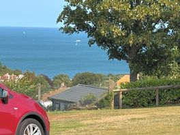 View from tent