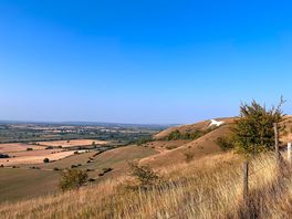Great walk up to the white horse