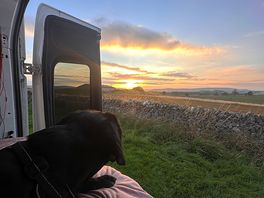 View from the van door