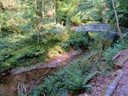 Lydford gorge.