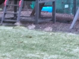 Rother valley march 2023