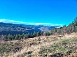 At the top of the mountain beyond the cycle track