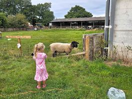 Waking up to alfie the tup