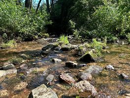 Stream running alongside the site.