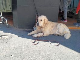 I named him marcelle but his real name was haron. something like that! arromanches corner shop.