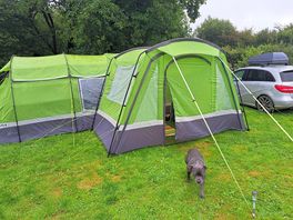 Dog friendly, spacious pitches