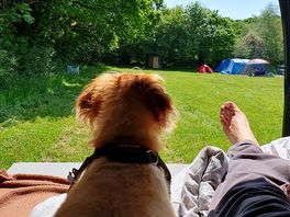 Lazy days...