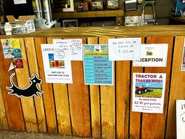 Little shop on site
