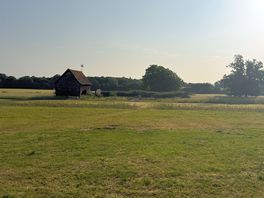 View of the site