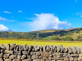 Looking towards gouthwaite reservoir