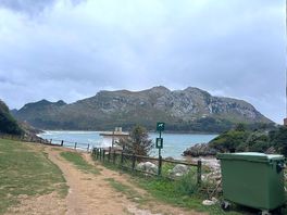 Small beach area.