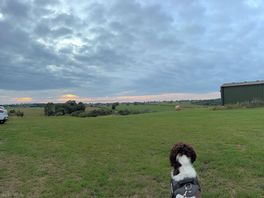 Stunning views and can see some amazing sunsets & sunrises!