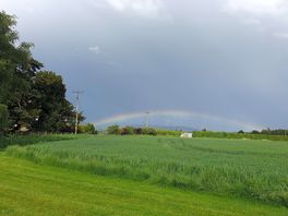 View from our campervan following a rain shower..