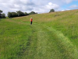 Lovely meadow jog