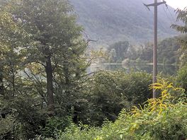 The lake view