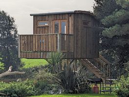 Loved the treehouse