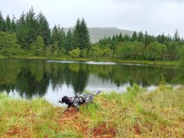 West highland way