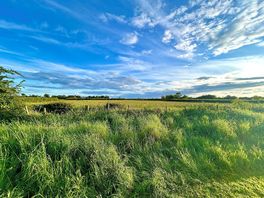 View from site