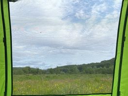 Tent view