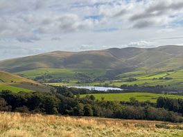 The view of the site from binsey