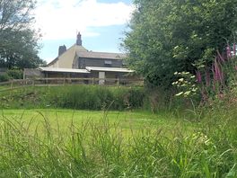 Foxglove Tent pitch