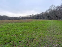 Field next to the woodland.