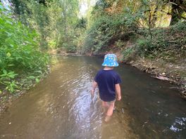 Paddling in the stream