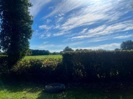 Beautiful view