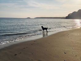 Seaton beach, a 5 minute drive from the oaks!
