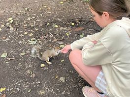 Feeding the squirrels